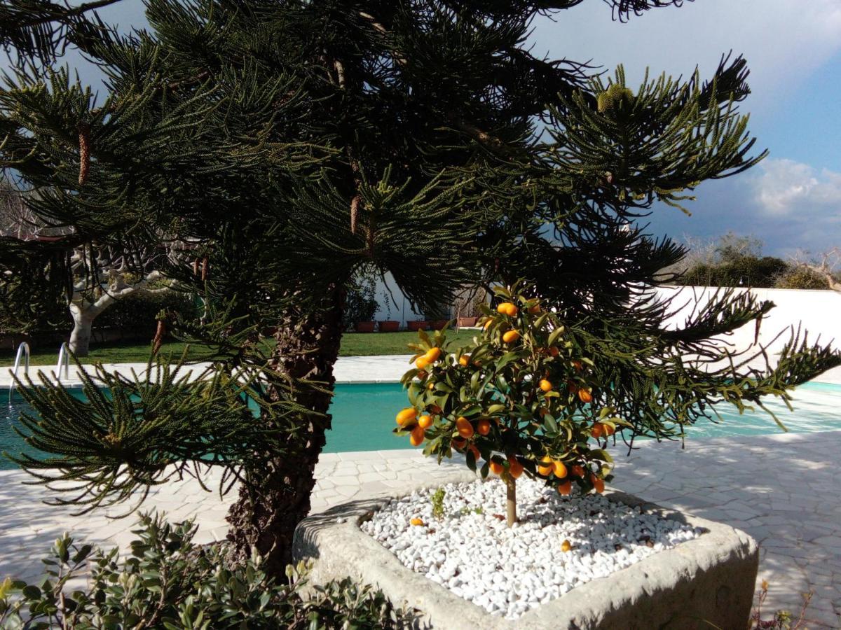 Casa Vacanza Augusto Уджано-ла-Кьеза Экстерьер фото